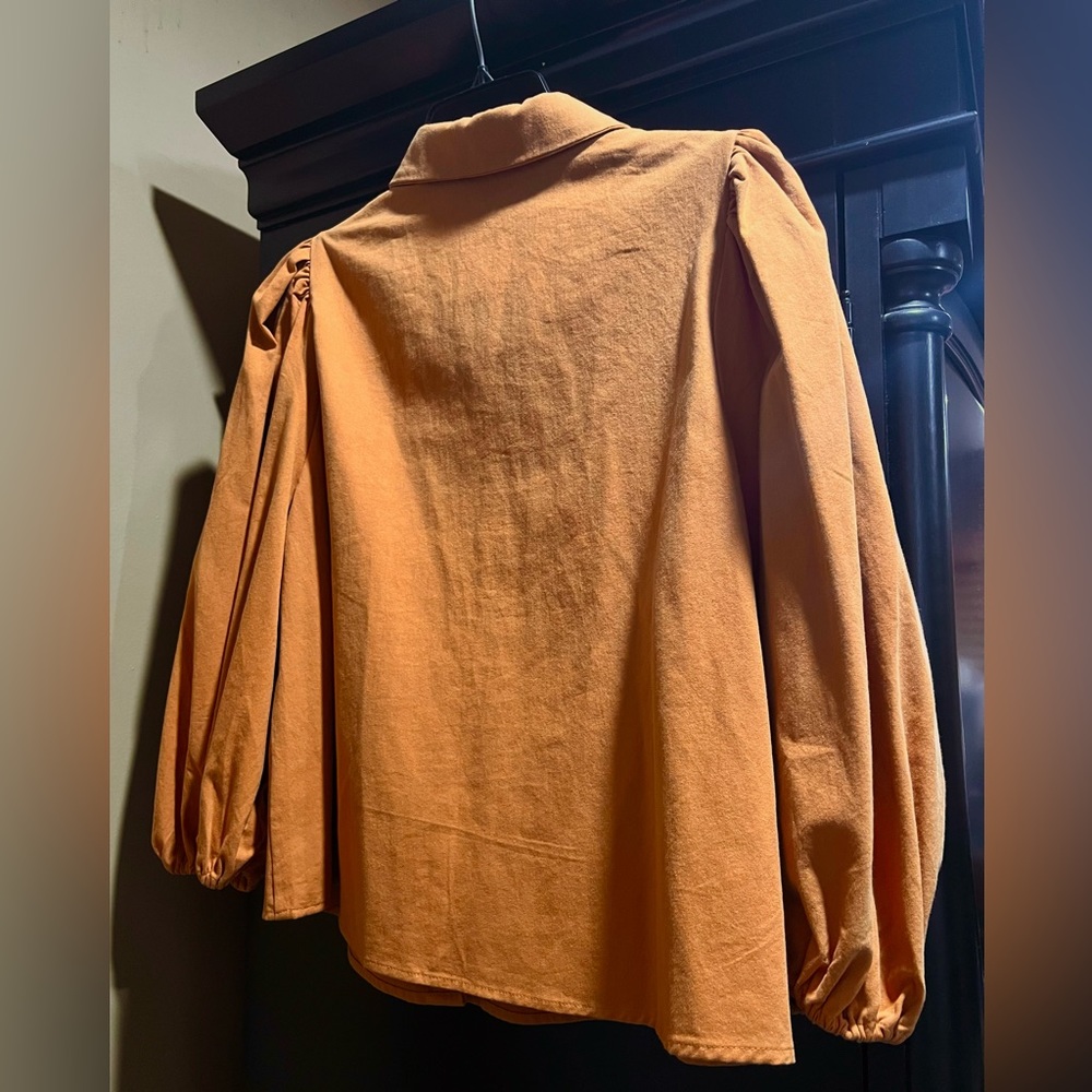 A button down rust colored blouse.